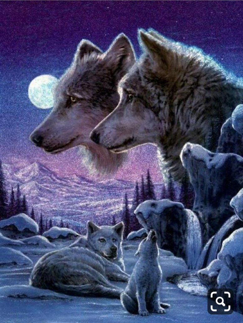 Волк, волчица,семья Волков
