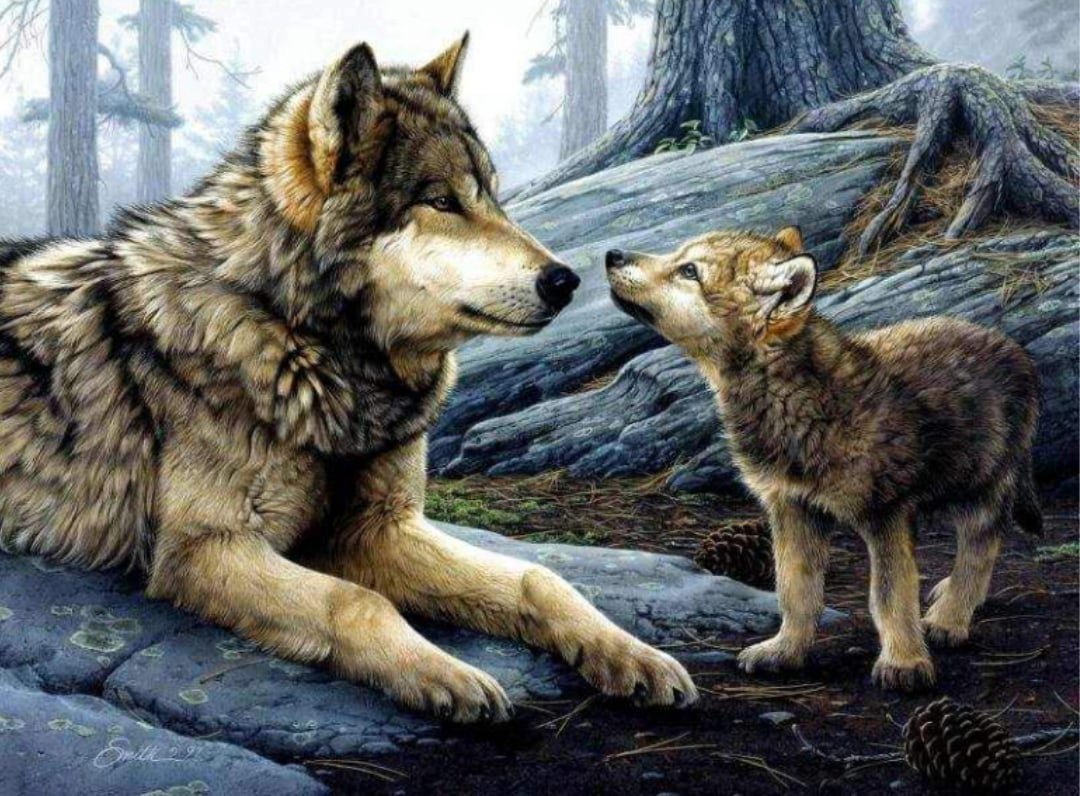 Картина по номерам волчица с волчатами