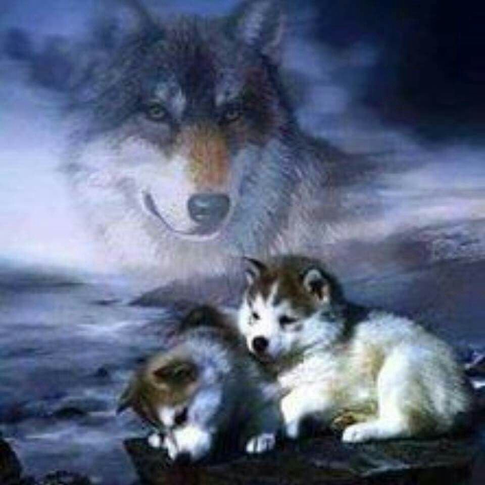 Картина волчица с волчатами