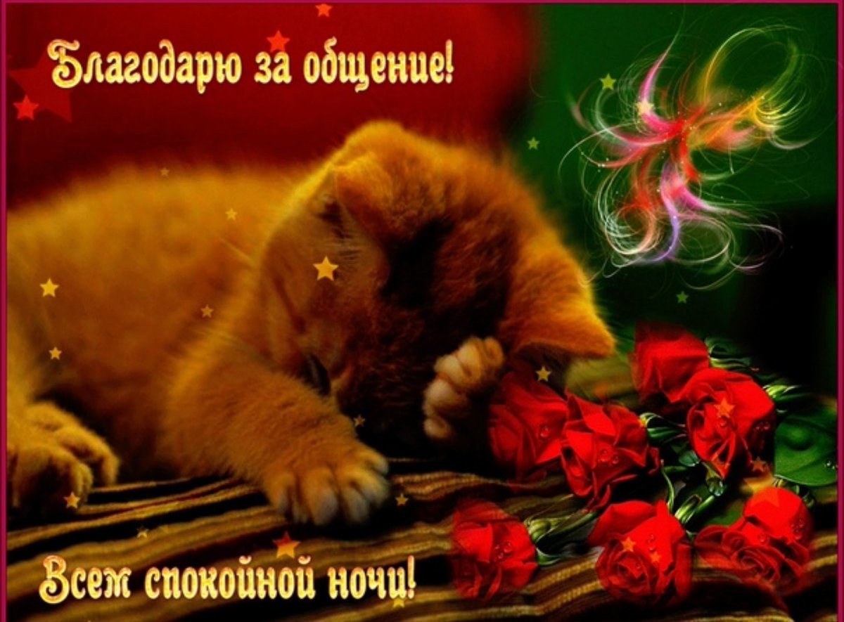 Доброй ночи