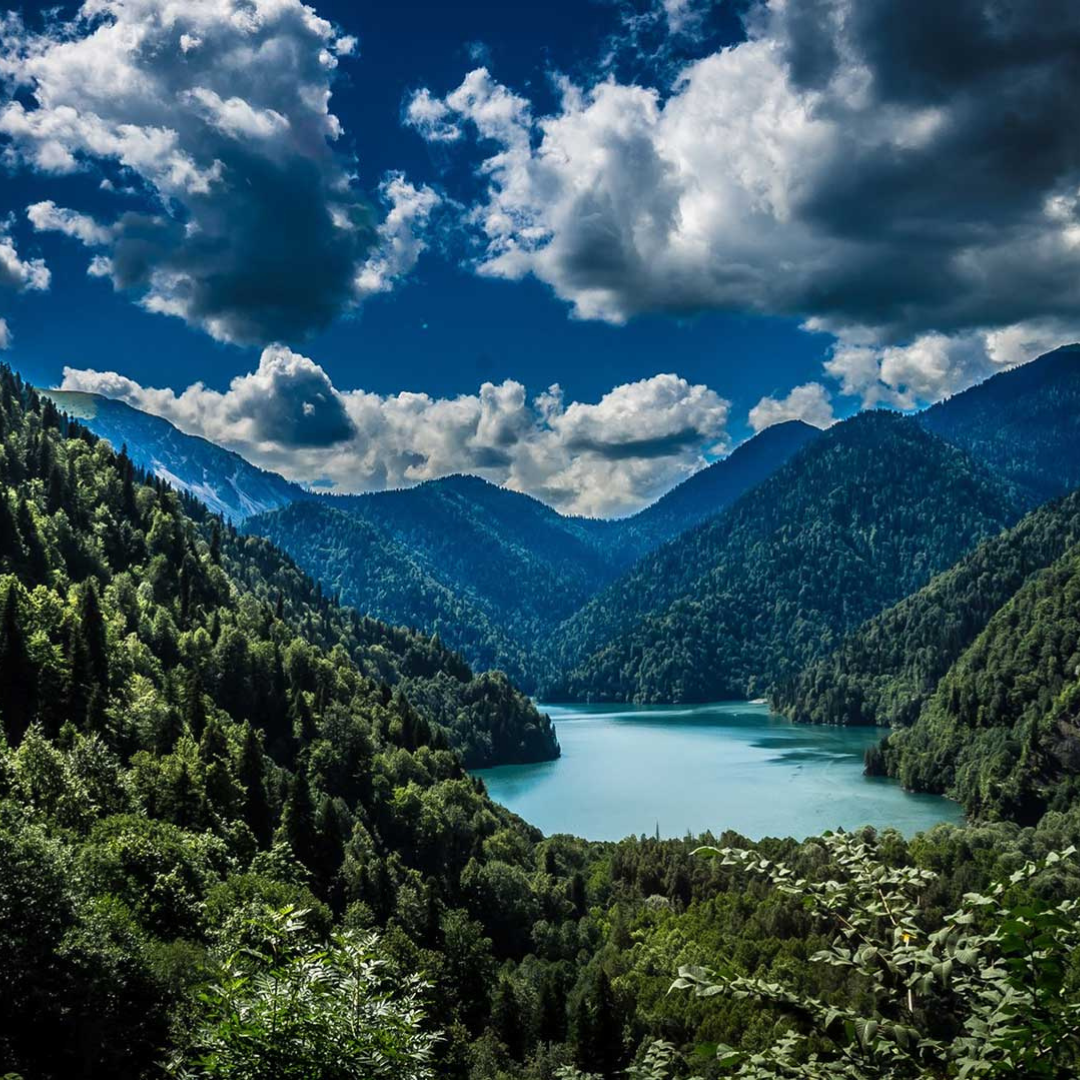 Колхида Абхазия Пицунда