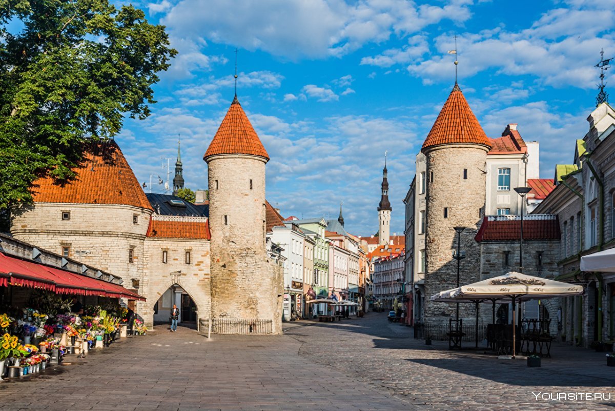 Эстония старый Таллинн