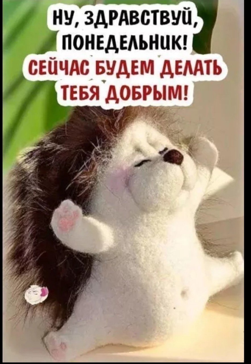 С добрым утром зима