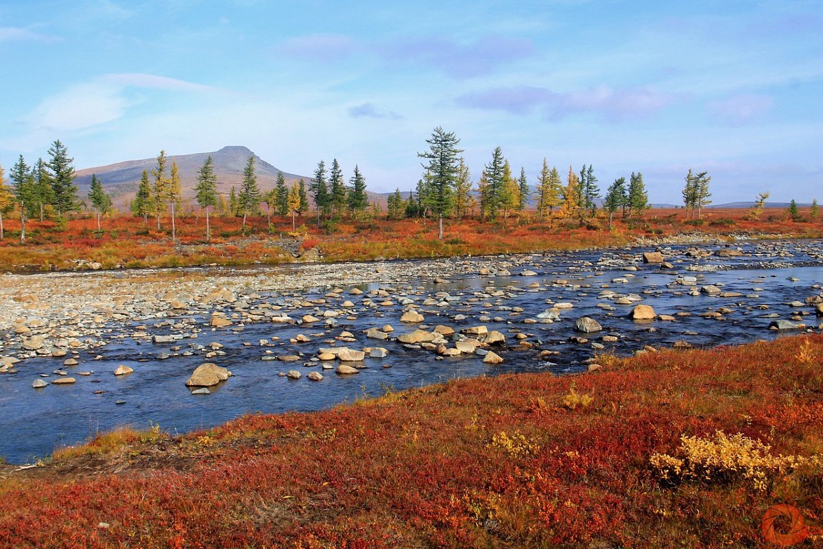 Заповедники тундры и лесотундры