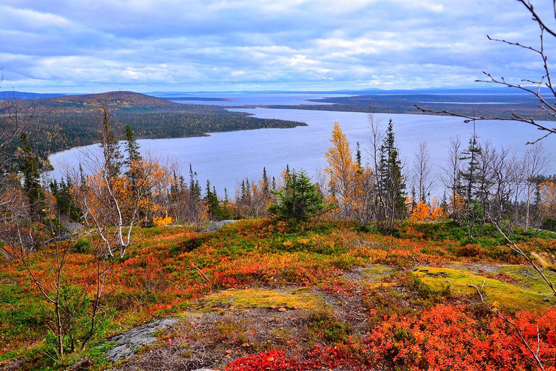 Осенняя лесотундра