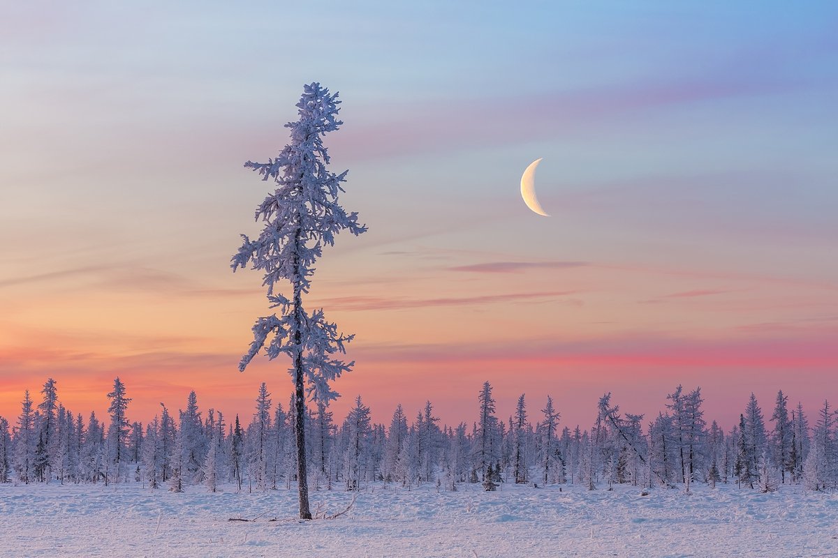 Тундра Мурманск