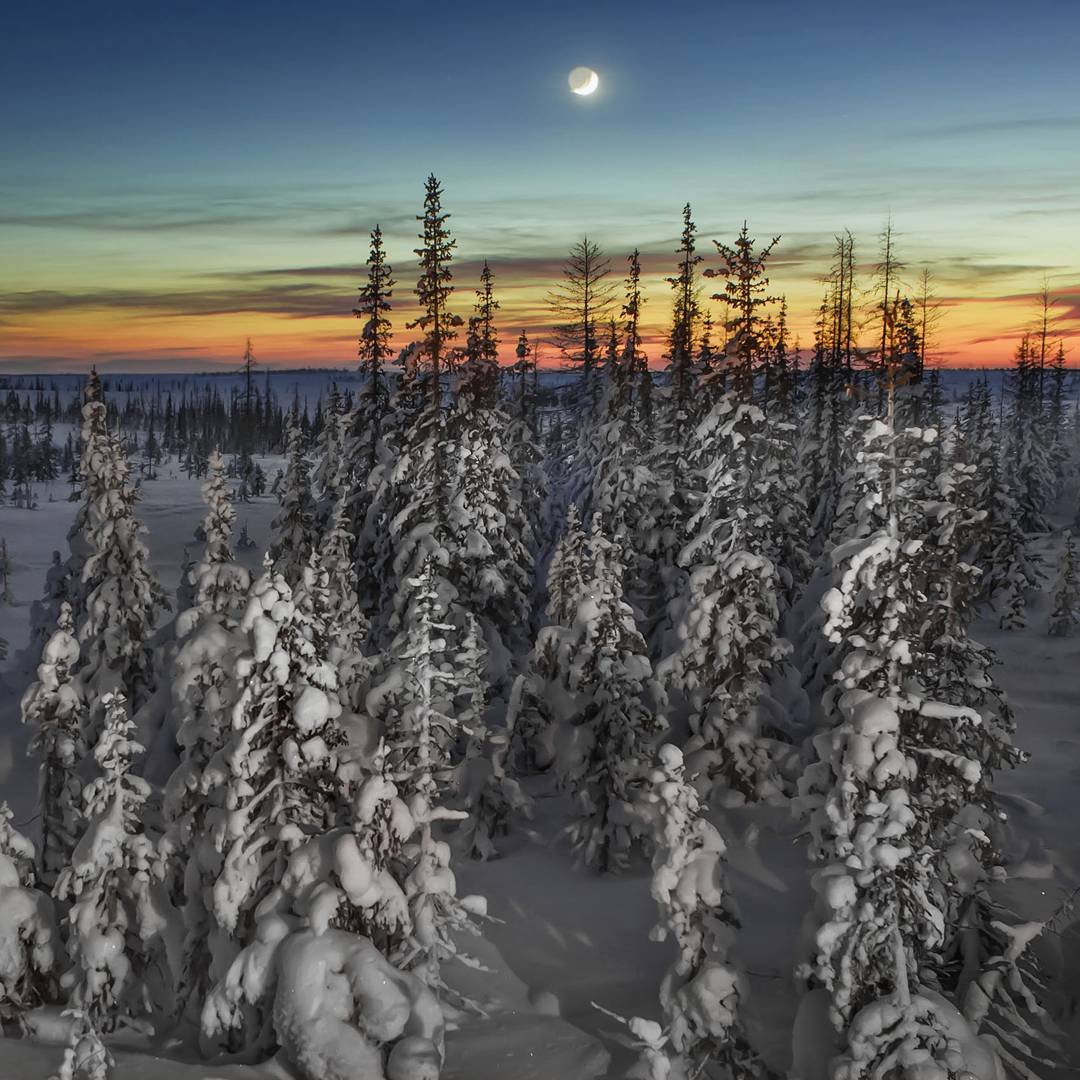 Ямало-Ненецкий автономный округ тундра