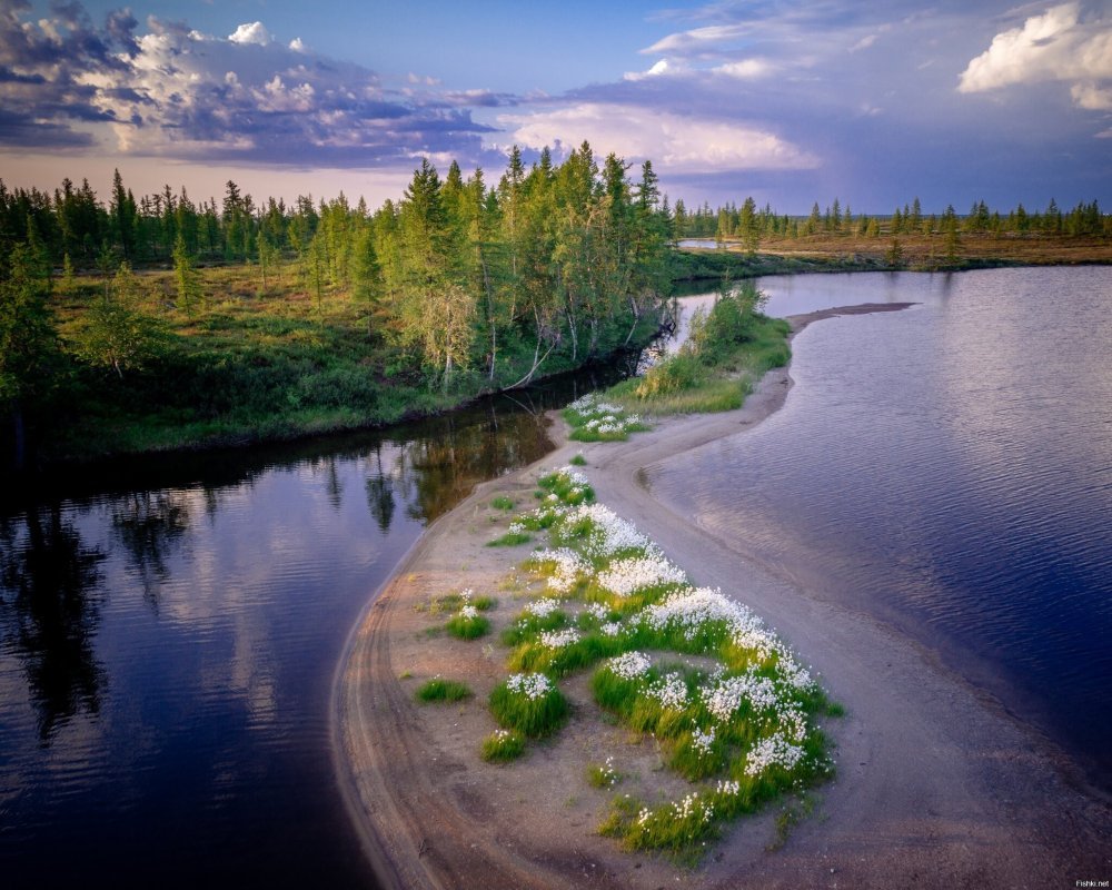 Белые ночи в Уренгое