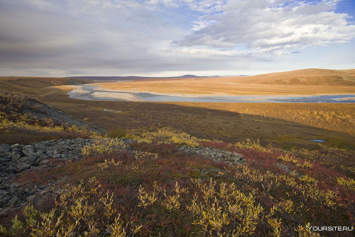 Северная природа Кольский полуостров