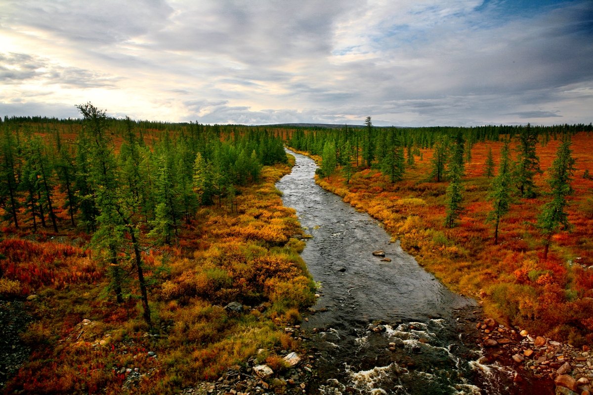 Колымская тундра
