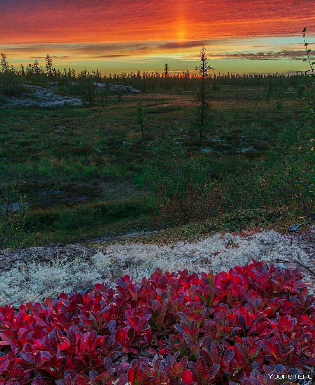 Ямал тундра зима