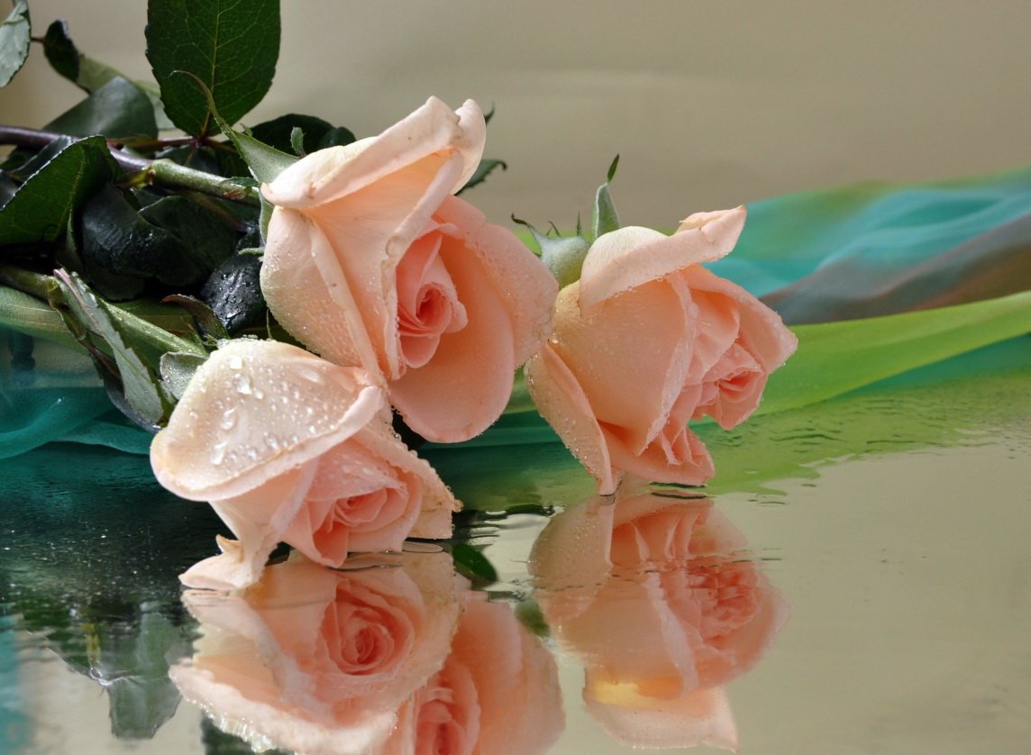 С днём рождения всех благ