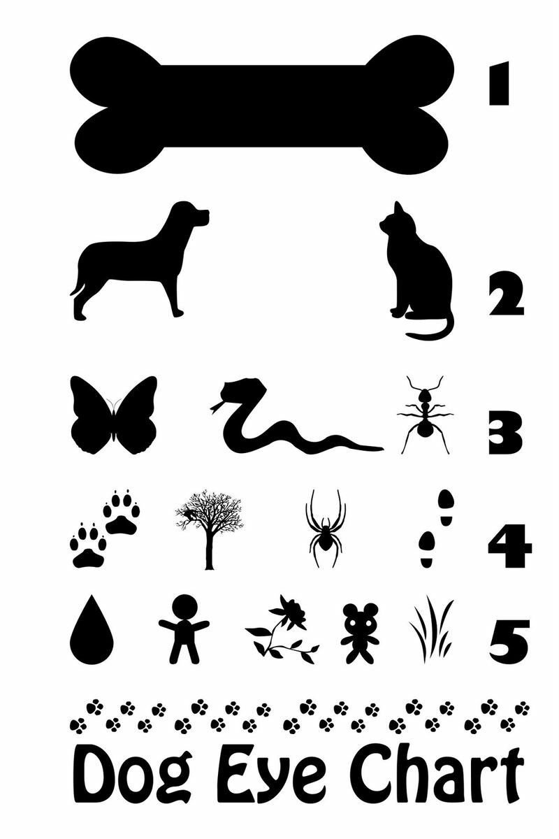 Окулист иллюстрация