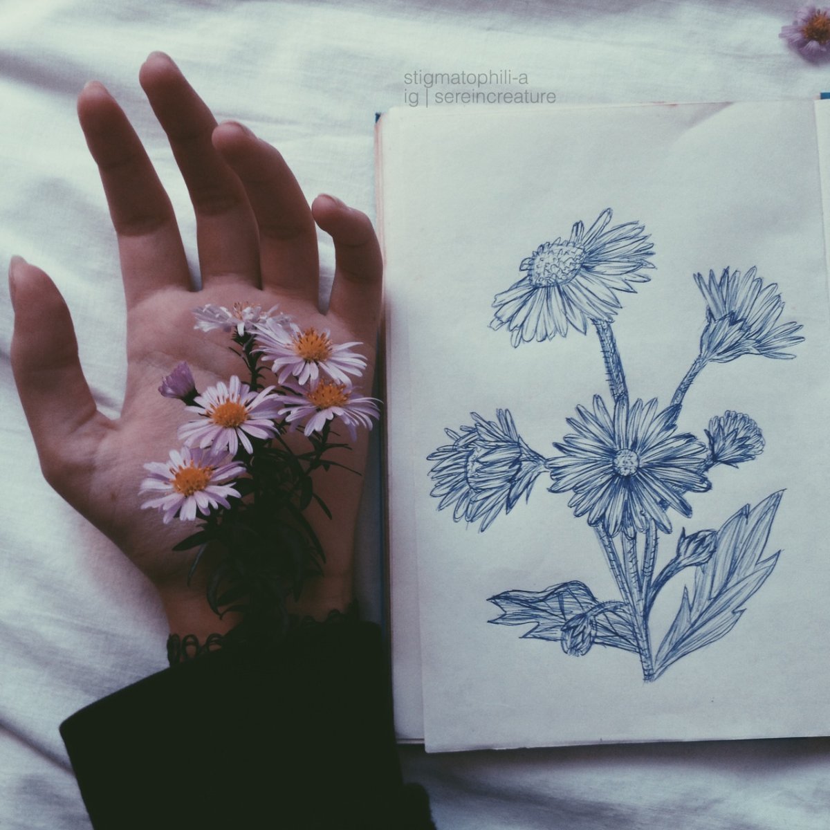 Рисование цветы Эстетика