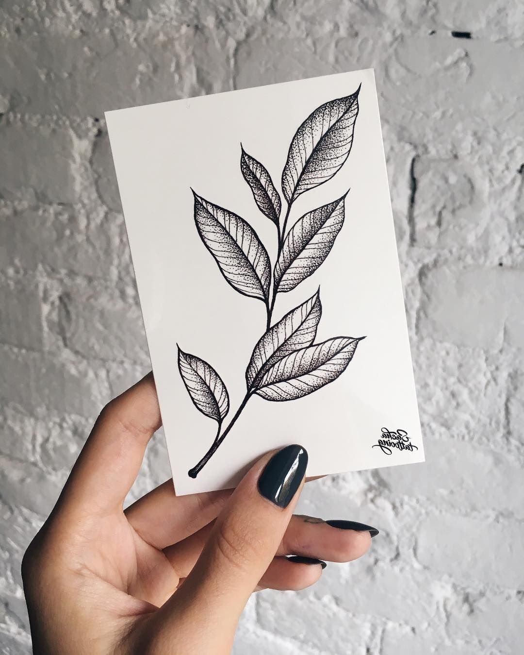 Эскиз тату ветка с листьями
