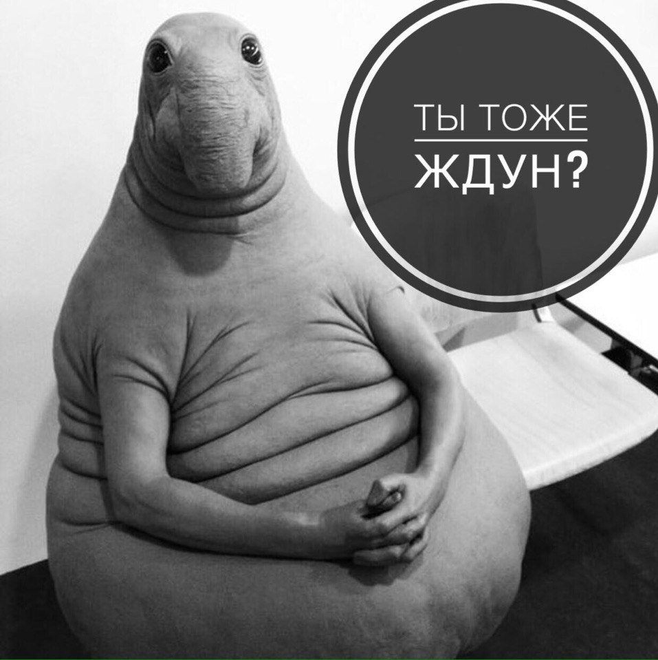 Зарплата ожидание и реальность