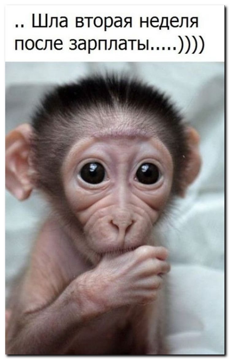 Homunculus Loxodontus скульптура