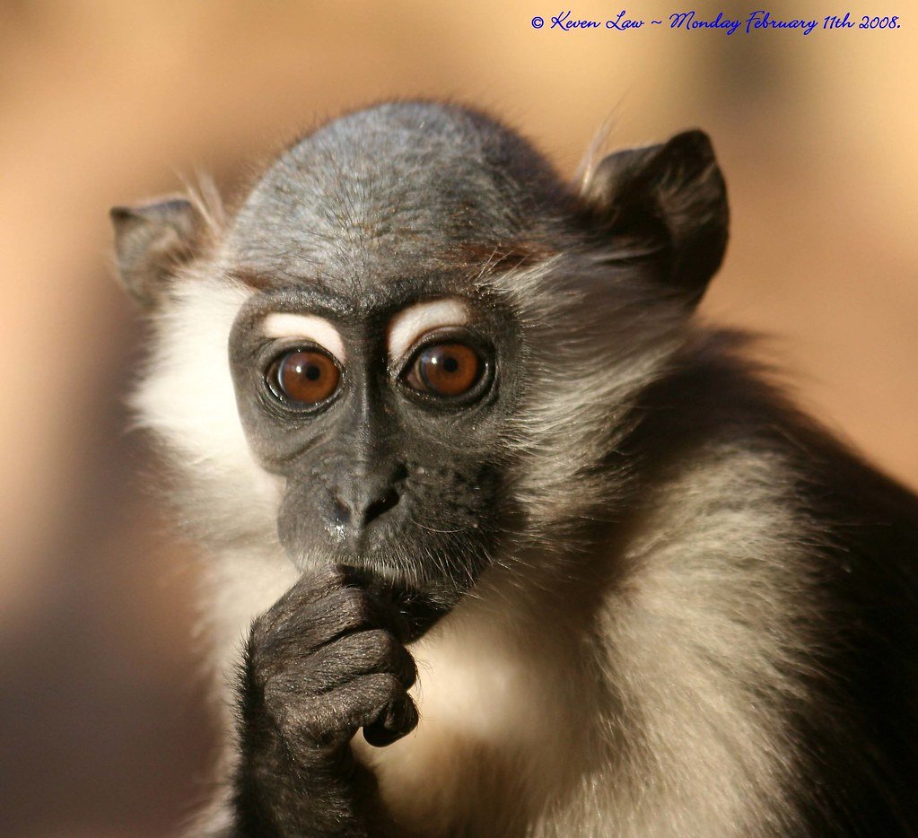 Шутки про правильное питание