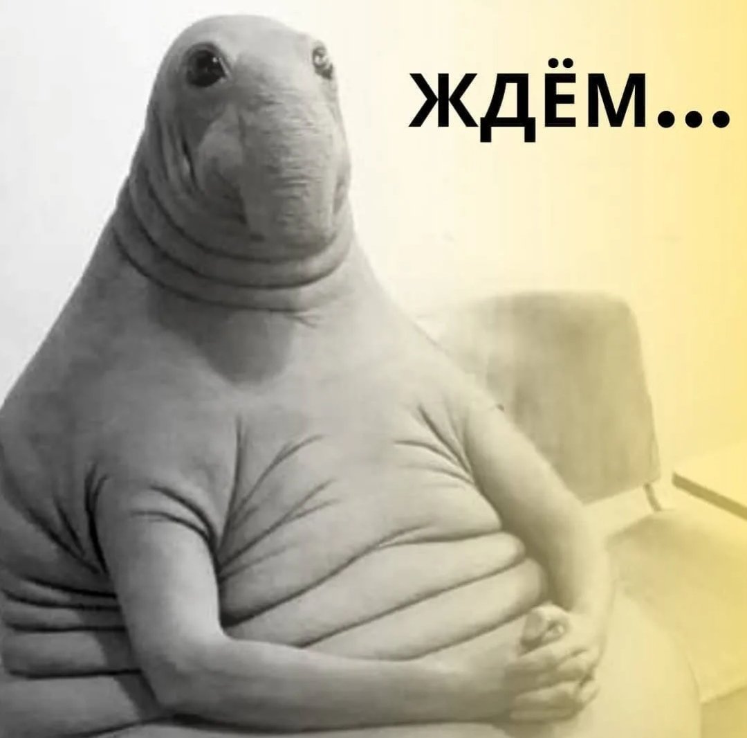 Чудесный сон приснился мне однако четыре грузчика несли мою зарплату