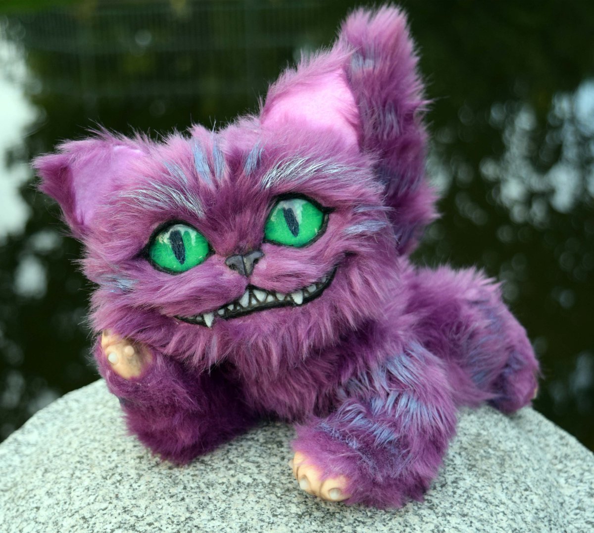 Чеширский кот настоящий