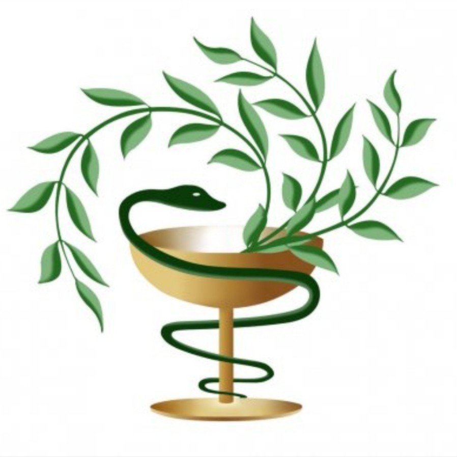 Ветви медицины