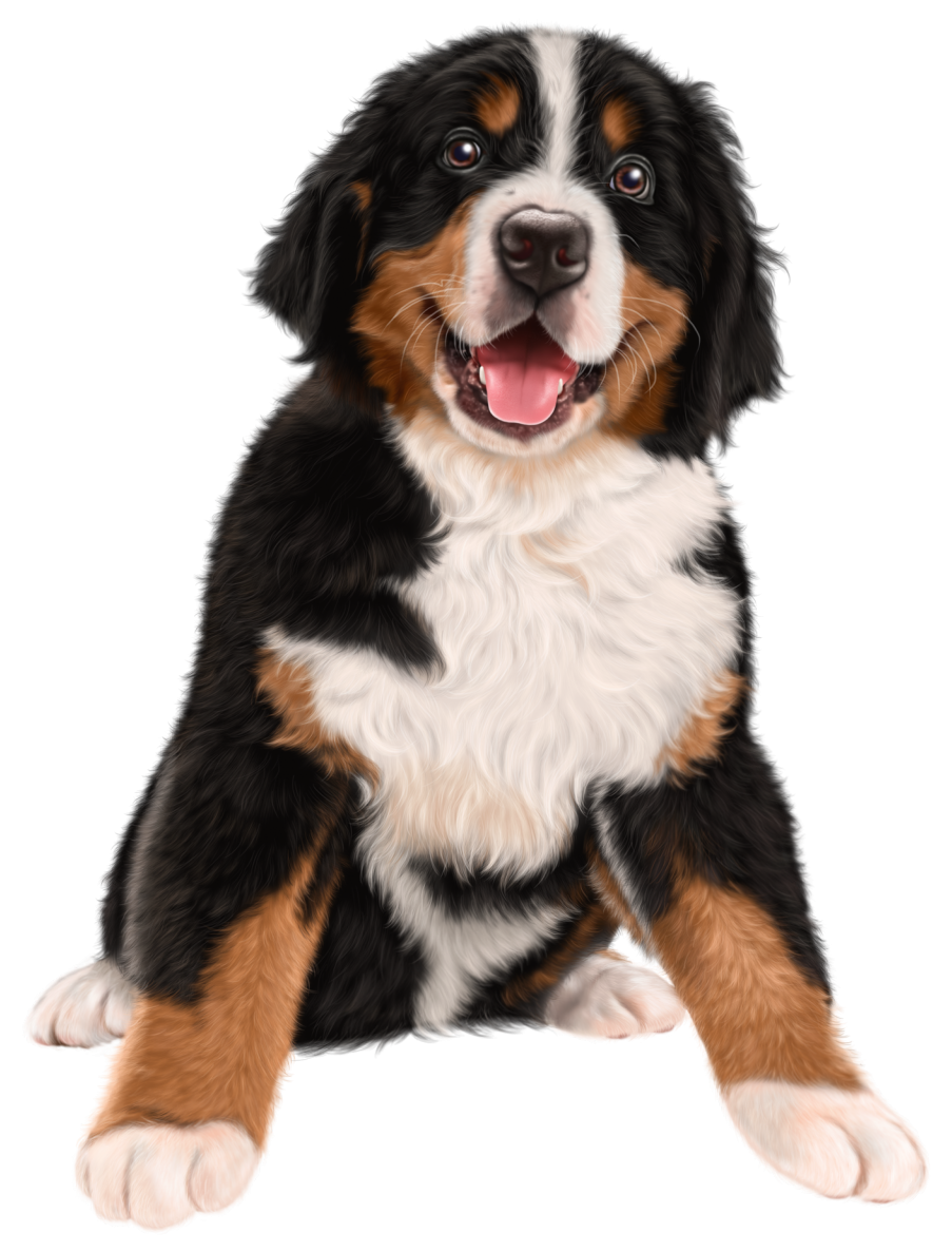 Ротвейлер PES вектор