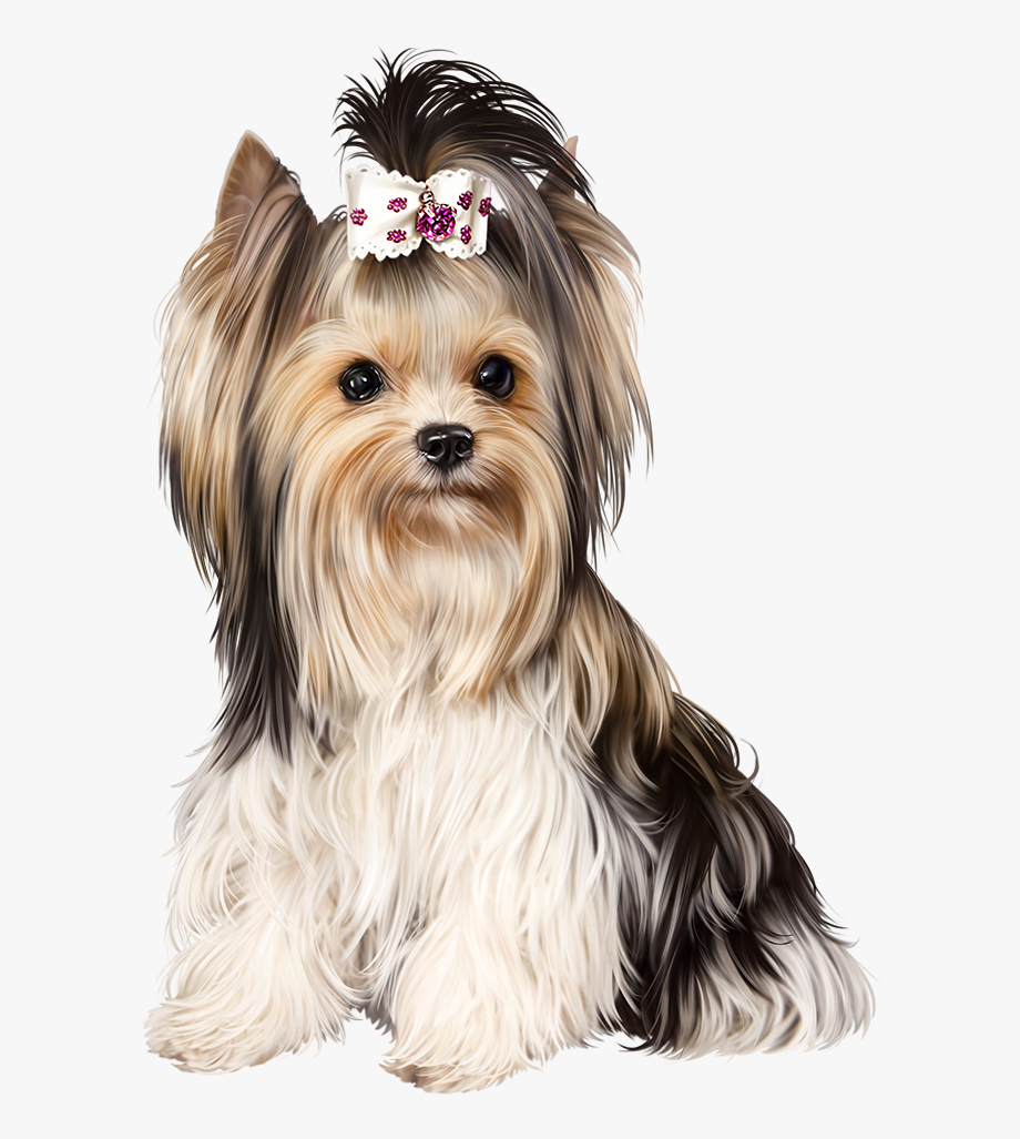 Далматинец щенок