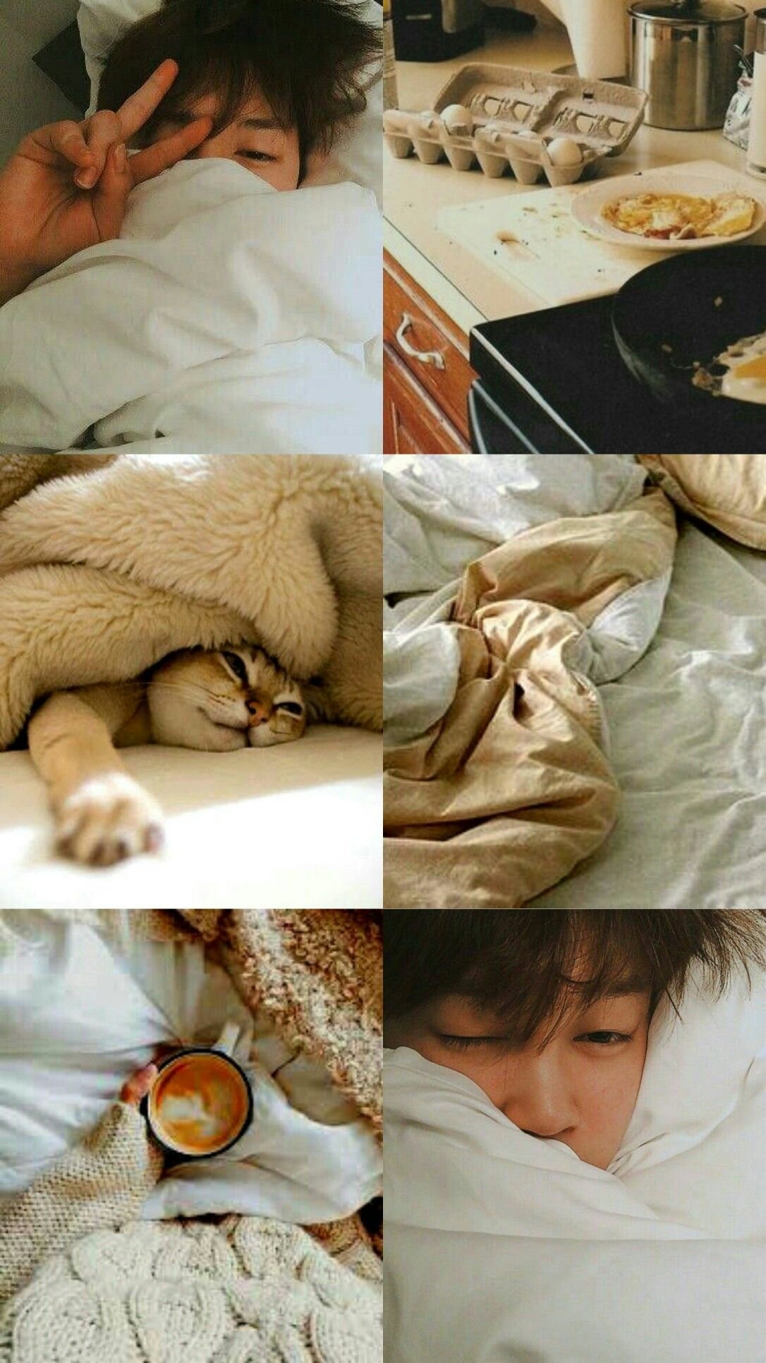 Утренние БТС