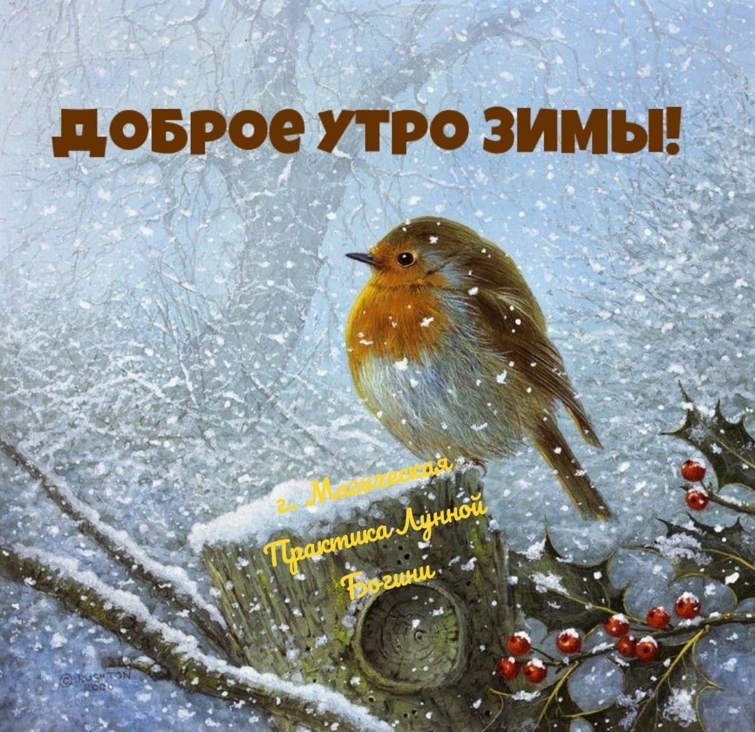 С добрым зимним утром