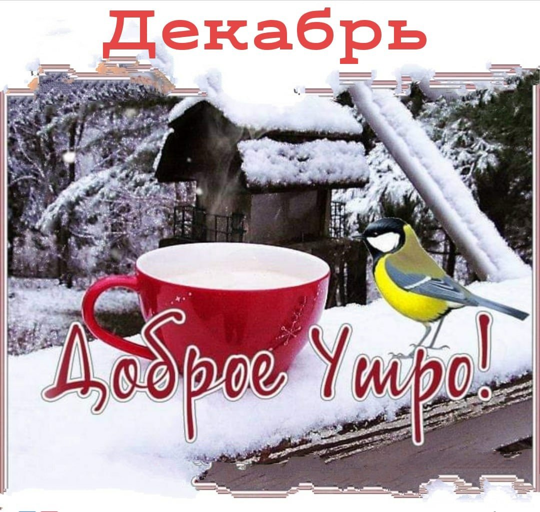 С добрым зимним утром