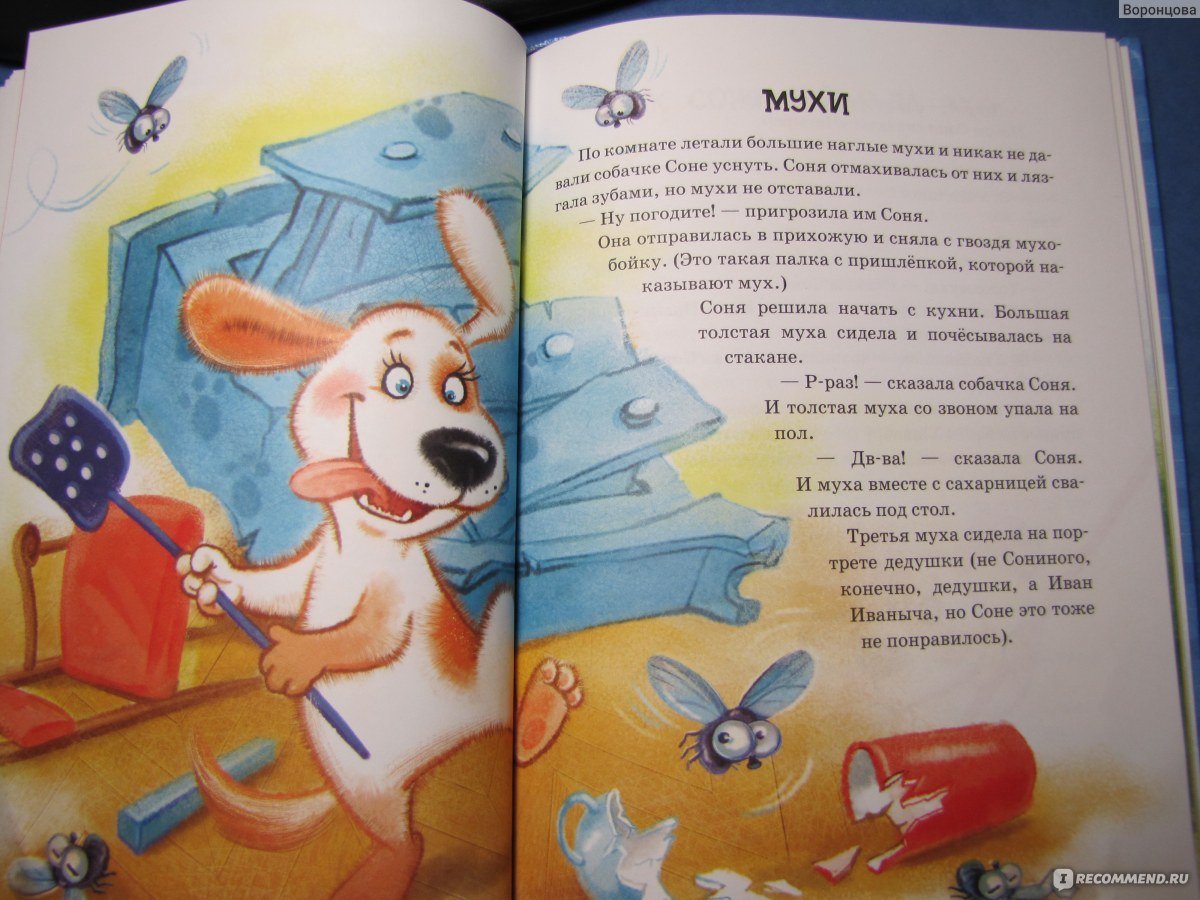 Умная собачка Соня продолжение