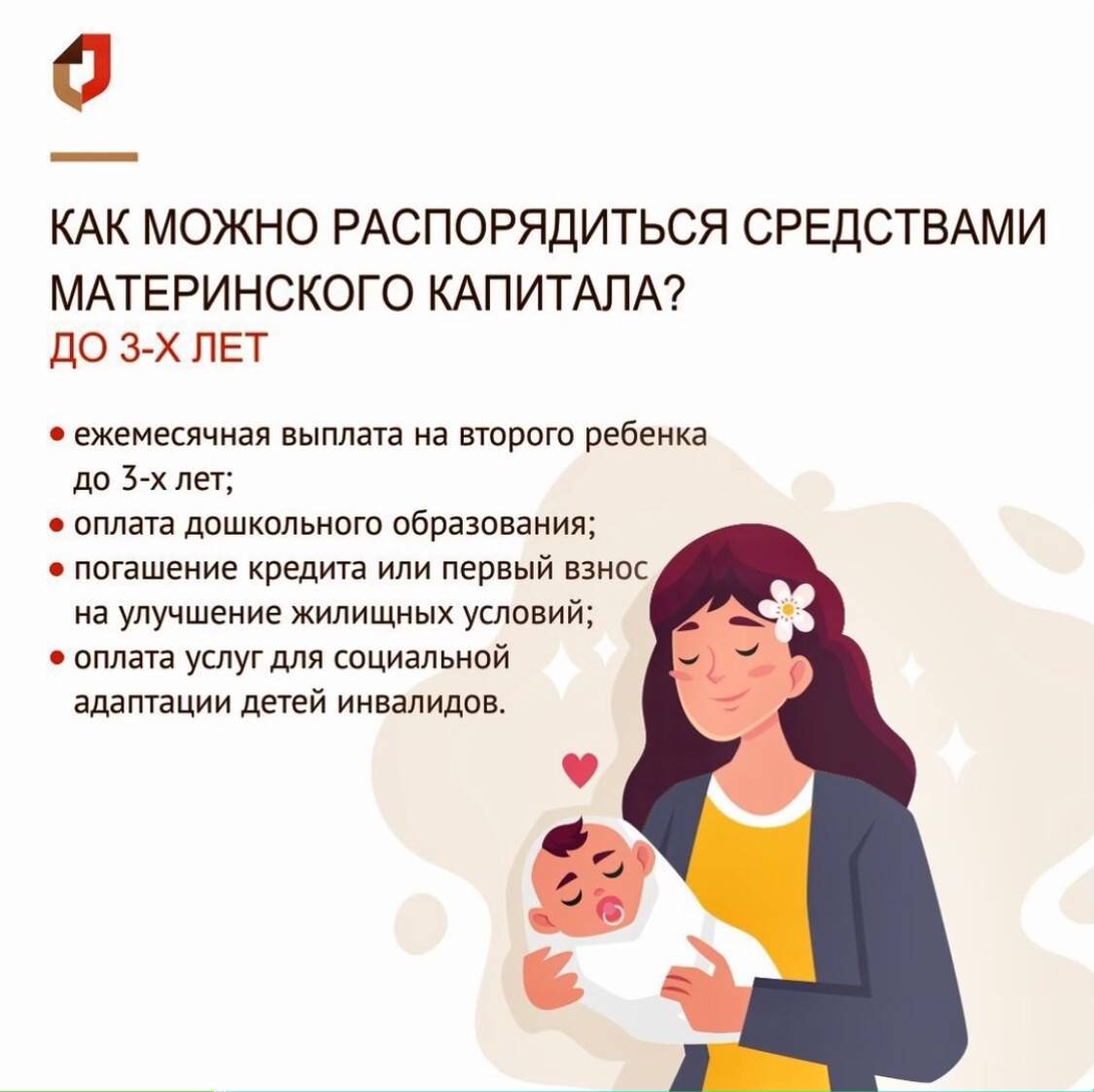 Займ под материнский капитал