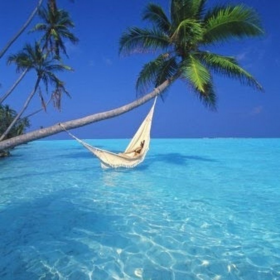 Bounty конфеты