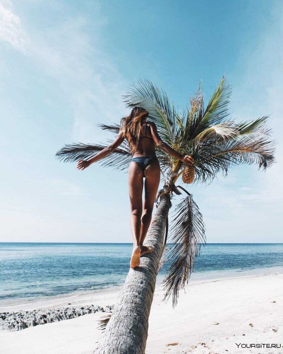 Девушка на Пальме