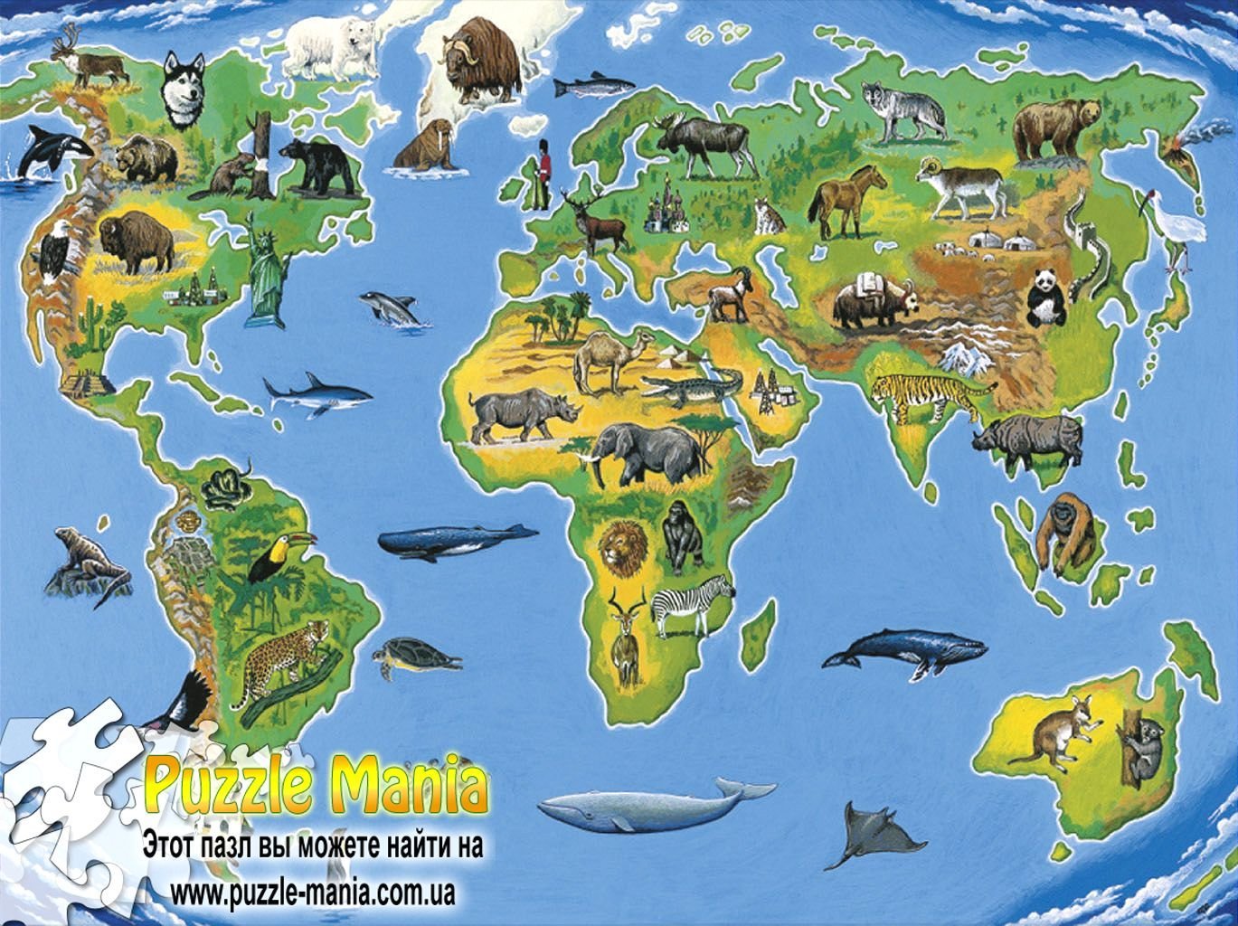 Живая планета 5 класс. Животные разных континентов. Места обитания животных. Животные по континентам для детей.