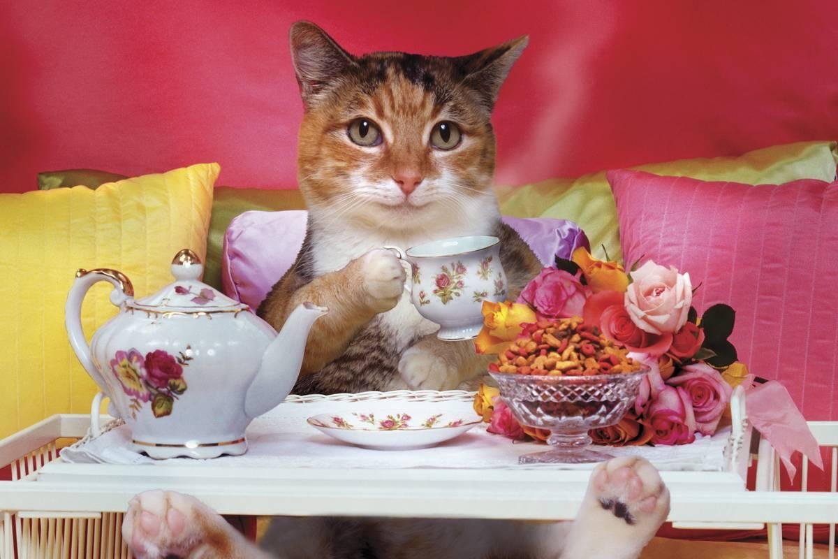 Сладкого дня