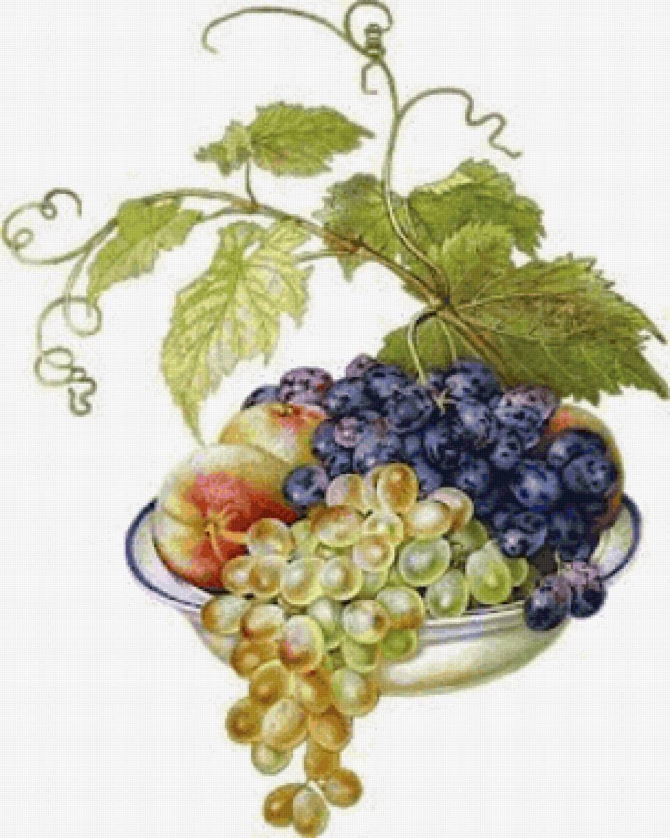 Открытки с виноградом