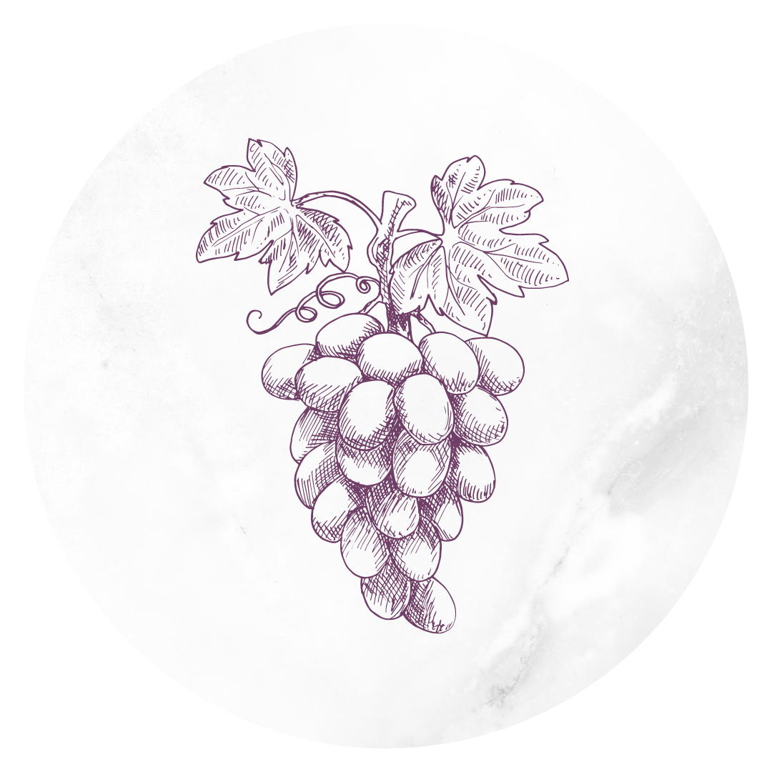 Виноград гравюра