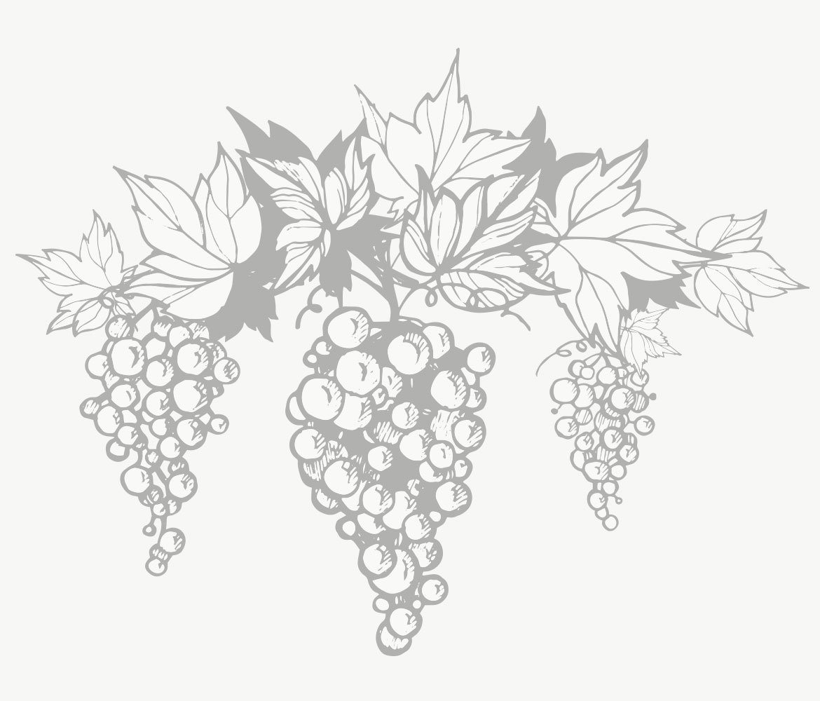 Виноградная лоза вино вектор