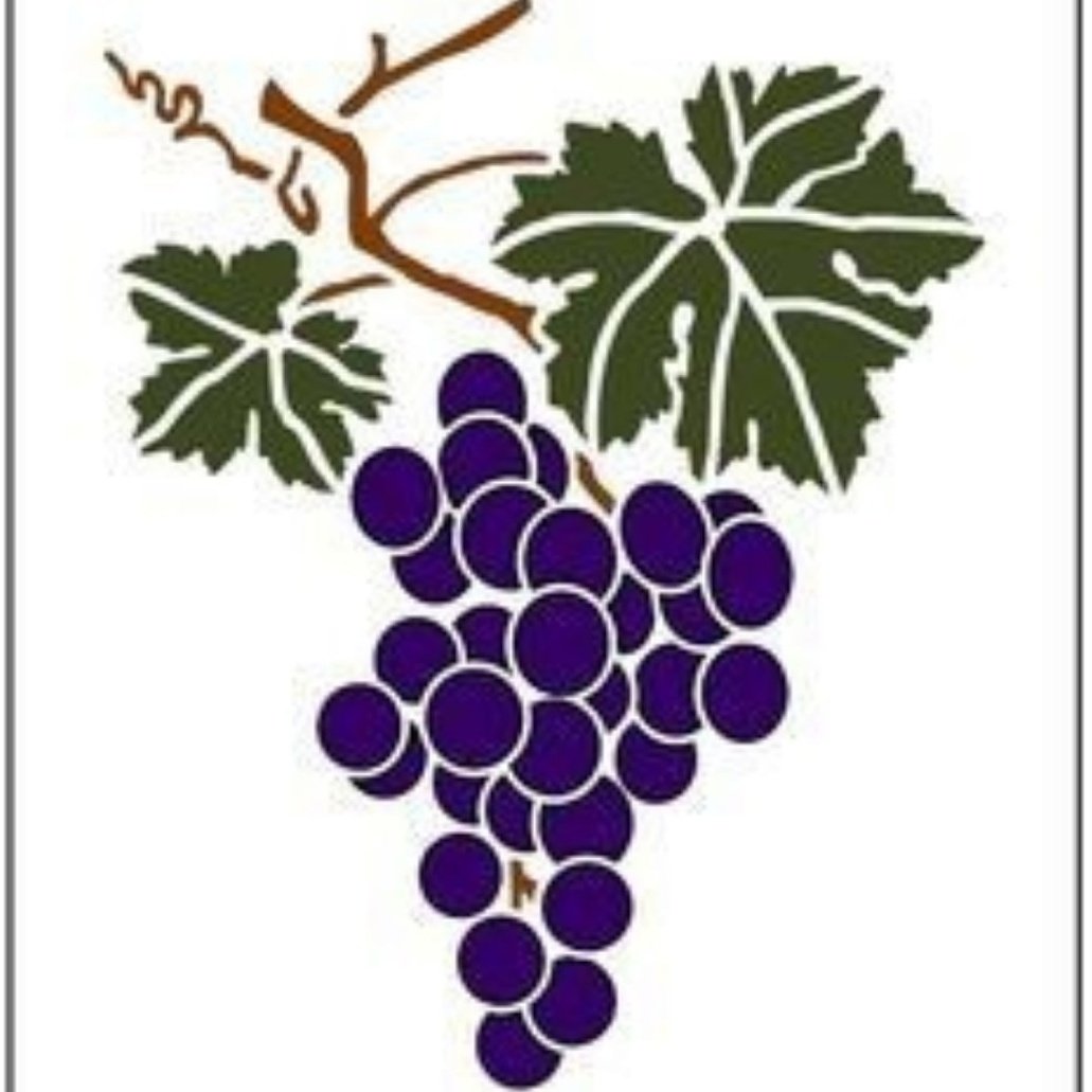 Соня Амес акварель виноград