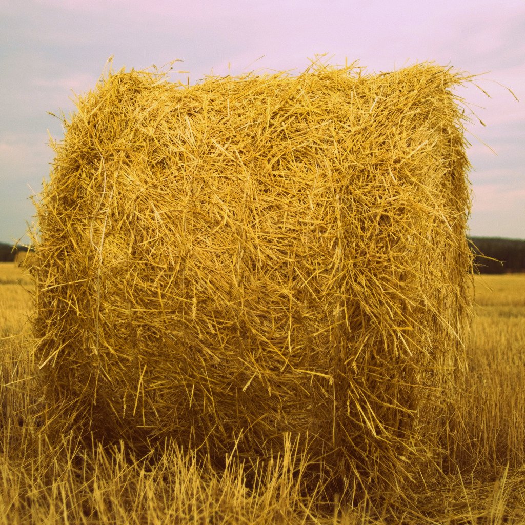 Мультяшное сено на поле