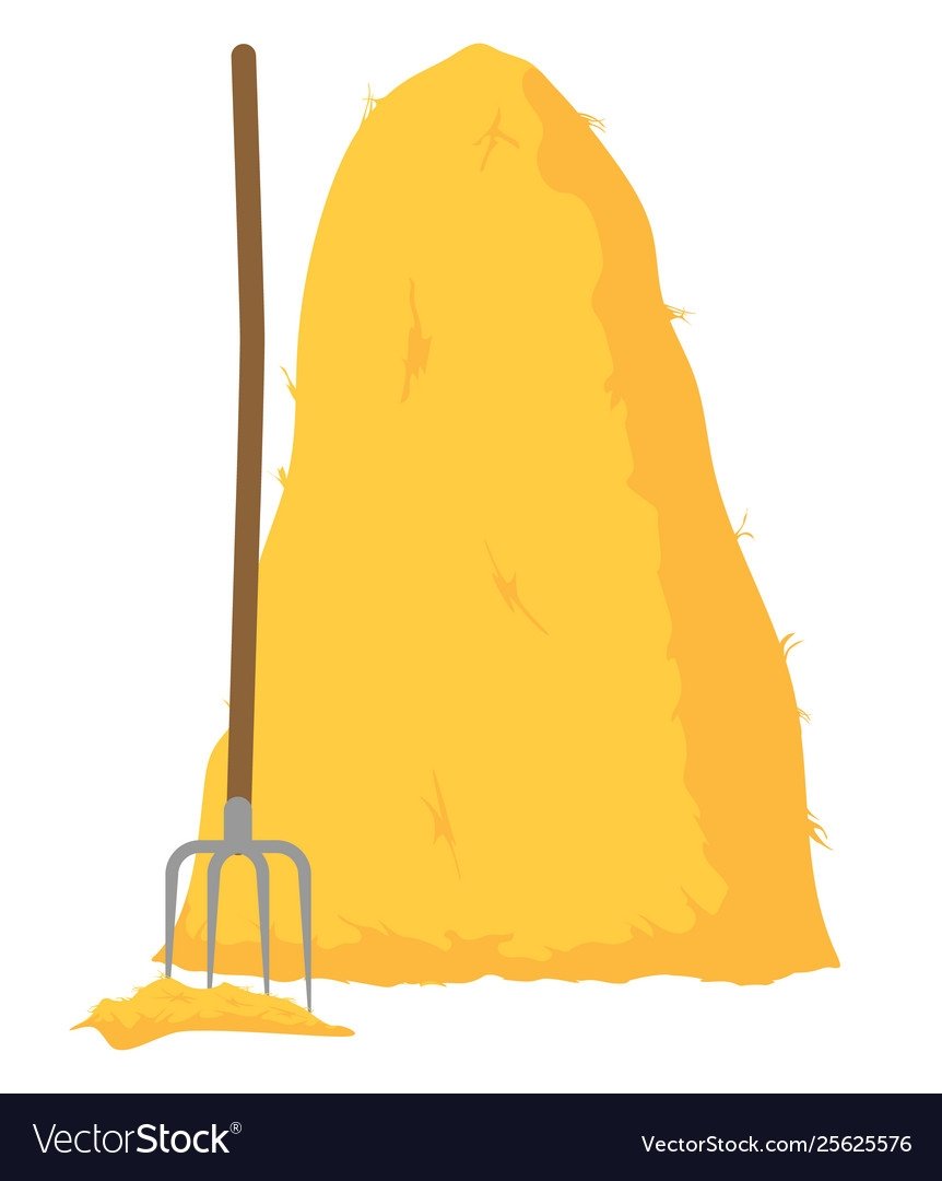 Фотосессия с сеном в рулонах