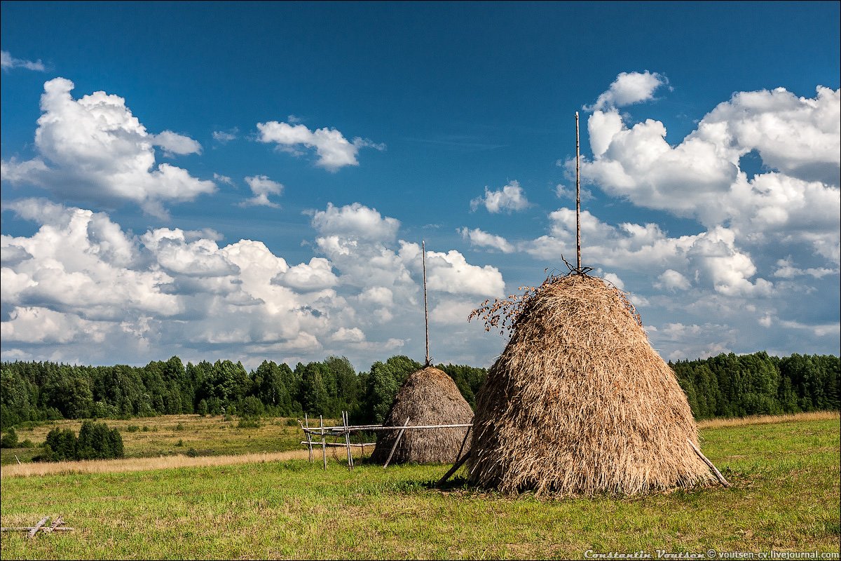 Живопись пейзажи поле стога