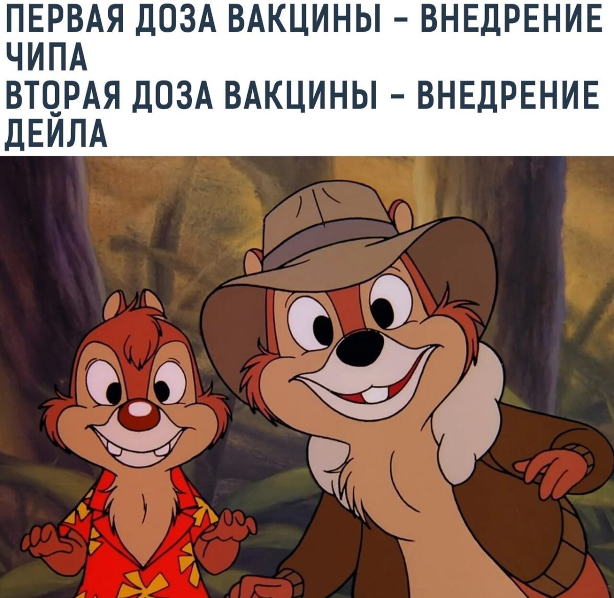 Чип в мультике чип и Дейл