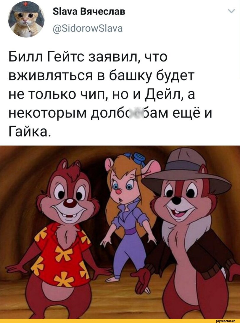 Белка Тамми чип и Дейл