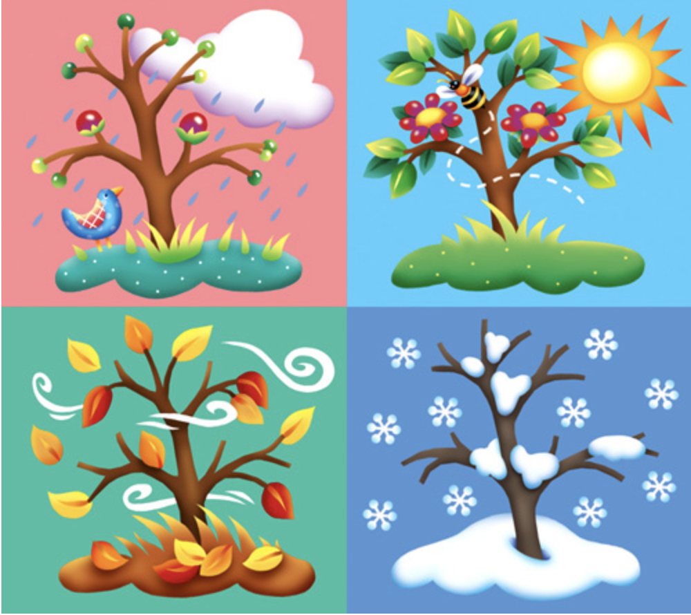 Времена года картинки