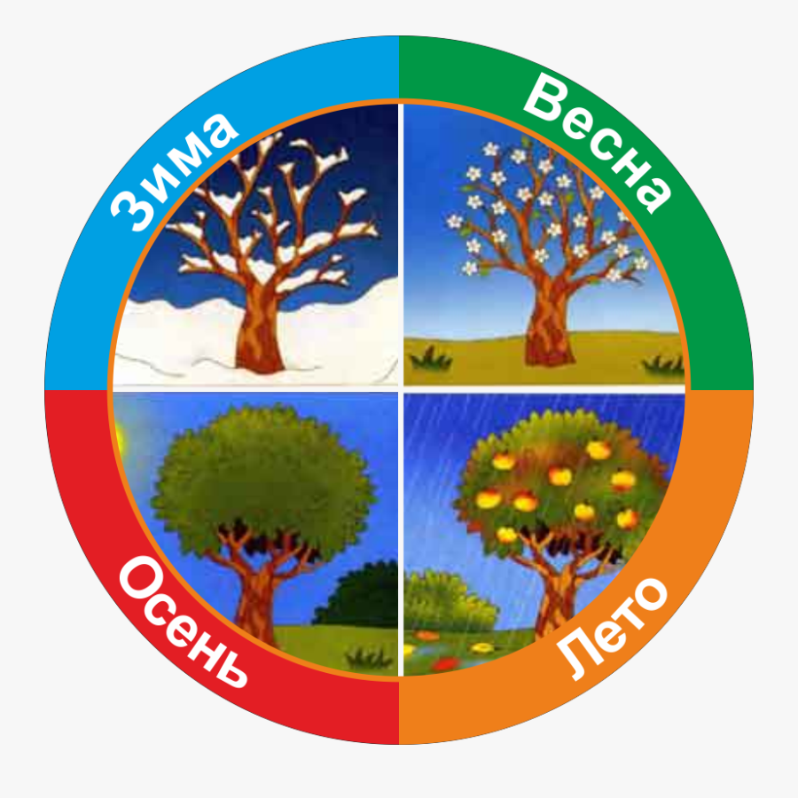 Иллюстрации с изображением времен года