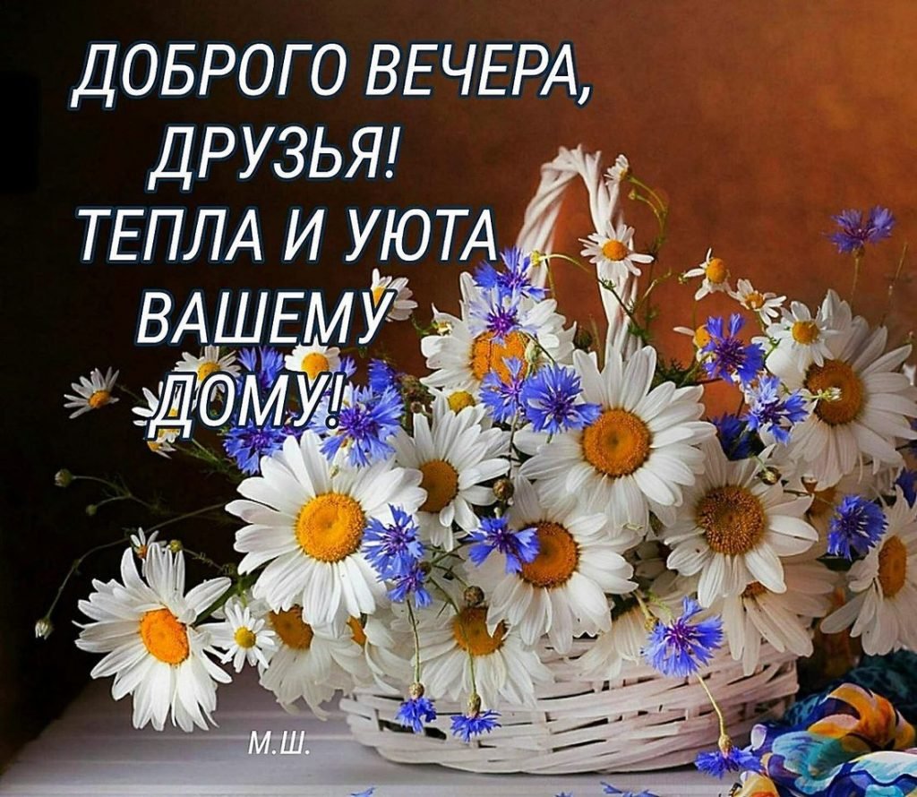 Зимние цветы