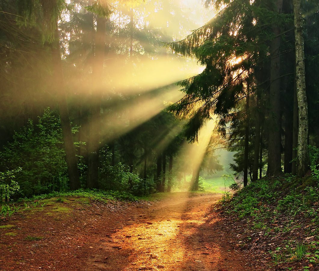 Девушка солнце