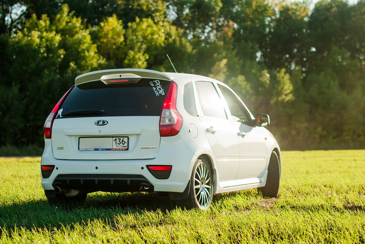 Малиновая Лада Каринка